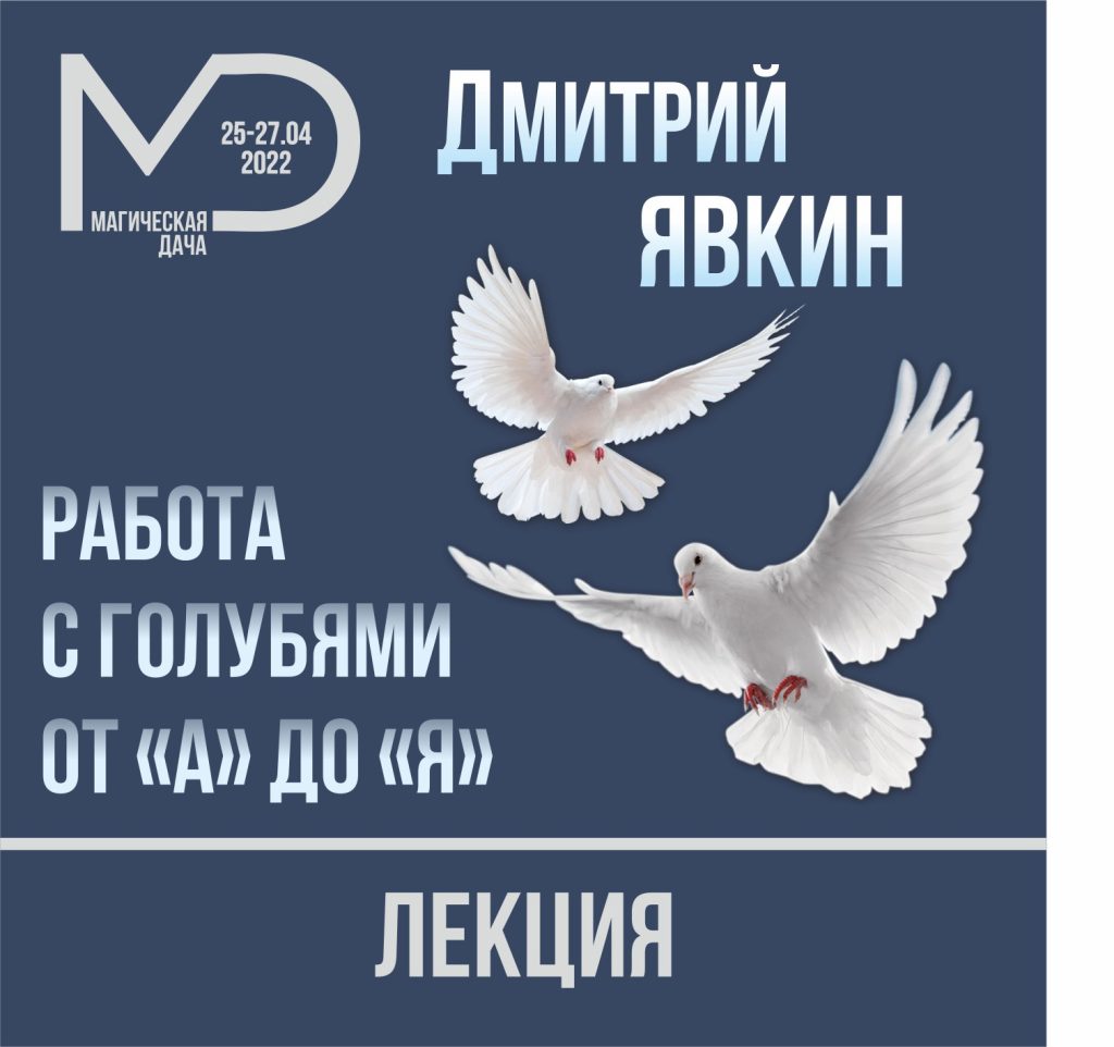 Работа с голубями